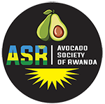 Avocado Society of Rwanda
